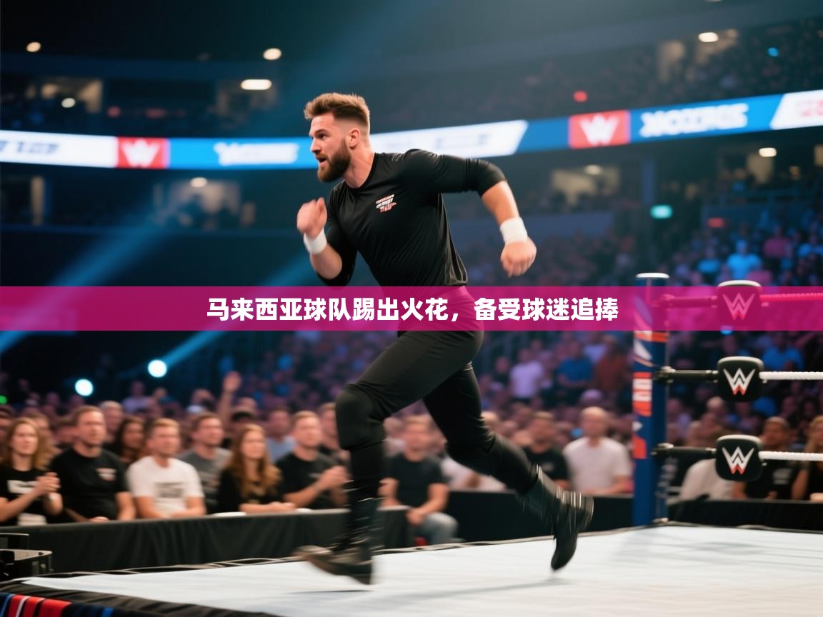 马来西亚球队踢出火花，备受球迷追捧  第2张