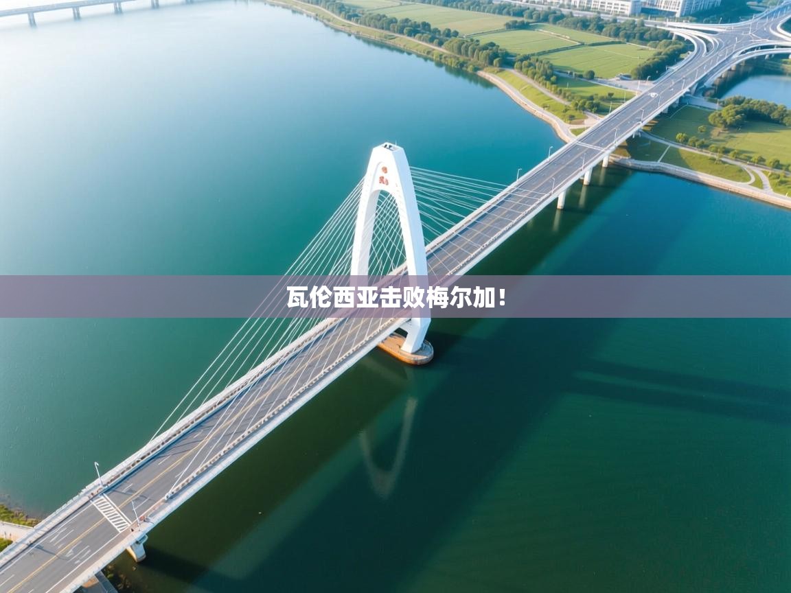 瓦伦西亚击败梅尔加！