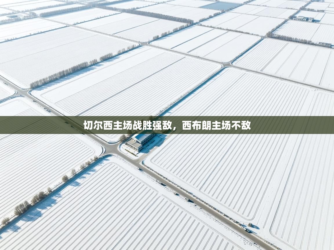 切尔西主场战胜强敌，西布朗主场不敌